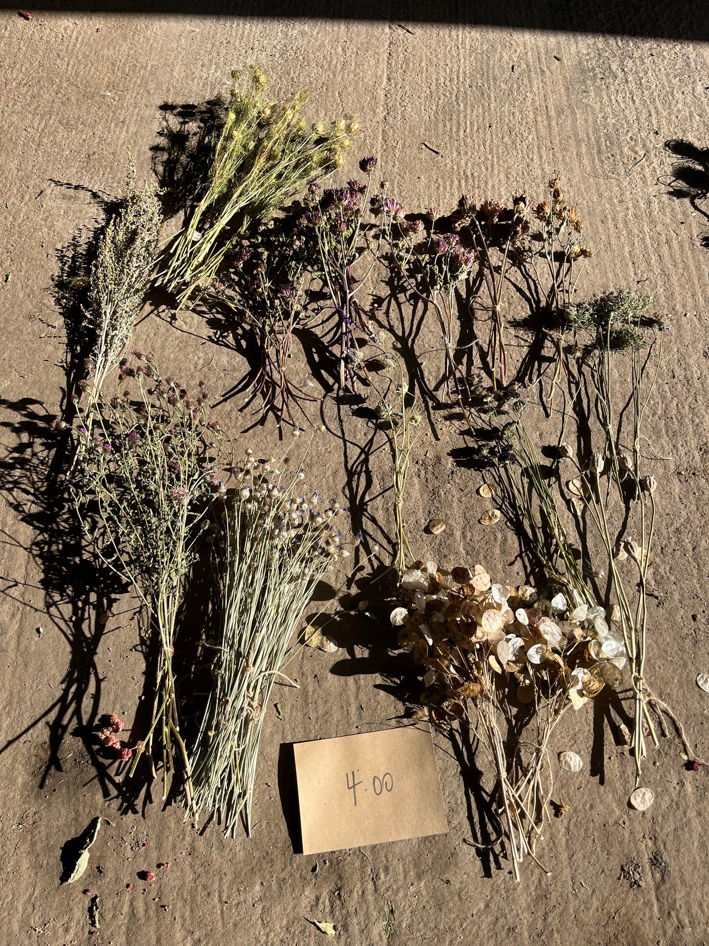 Wholesale dried flower box