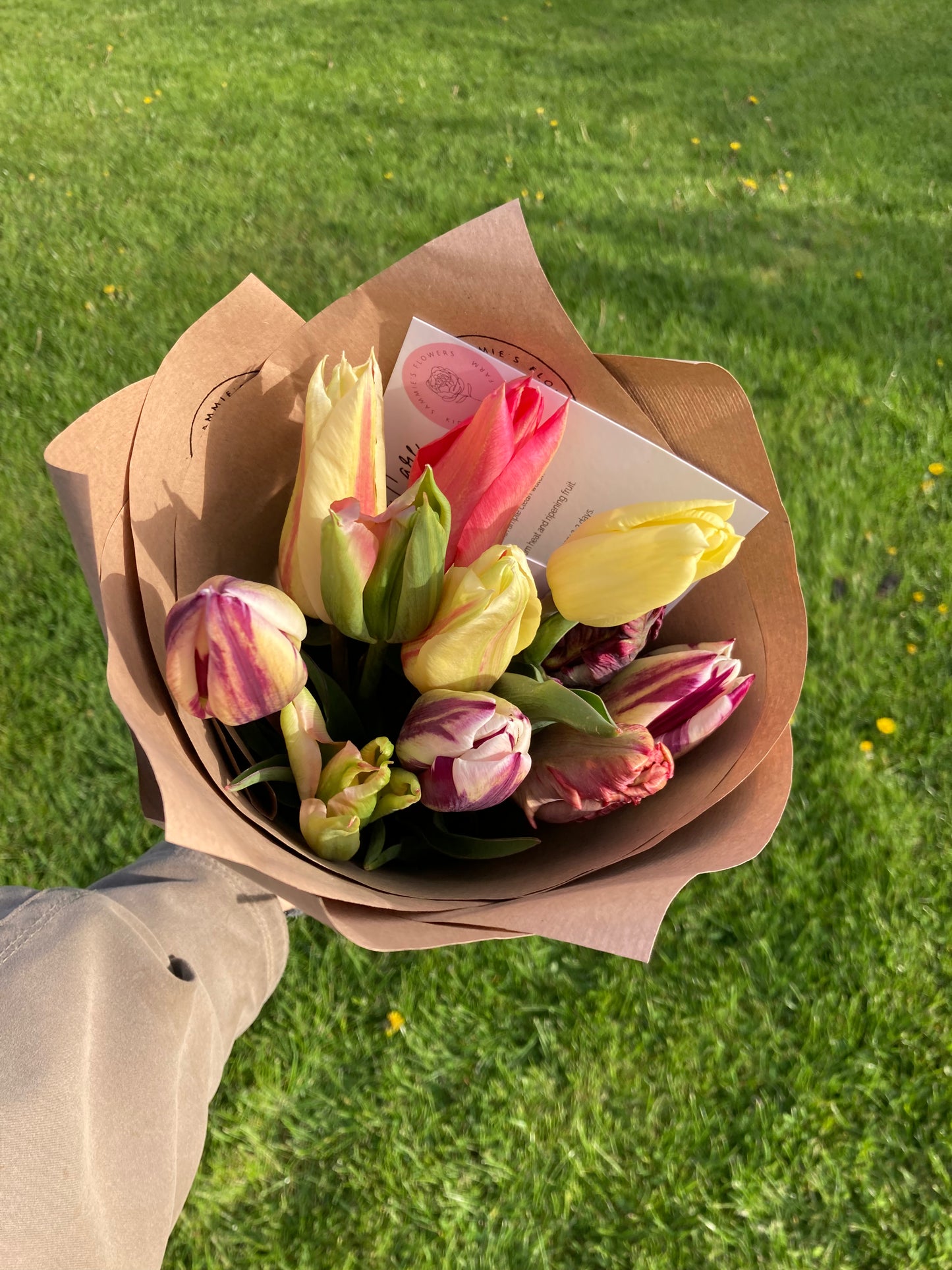 Tulip bunch