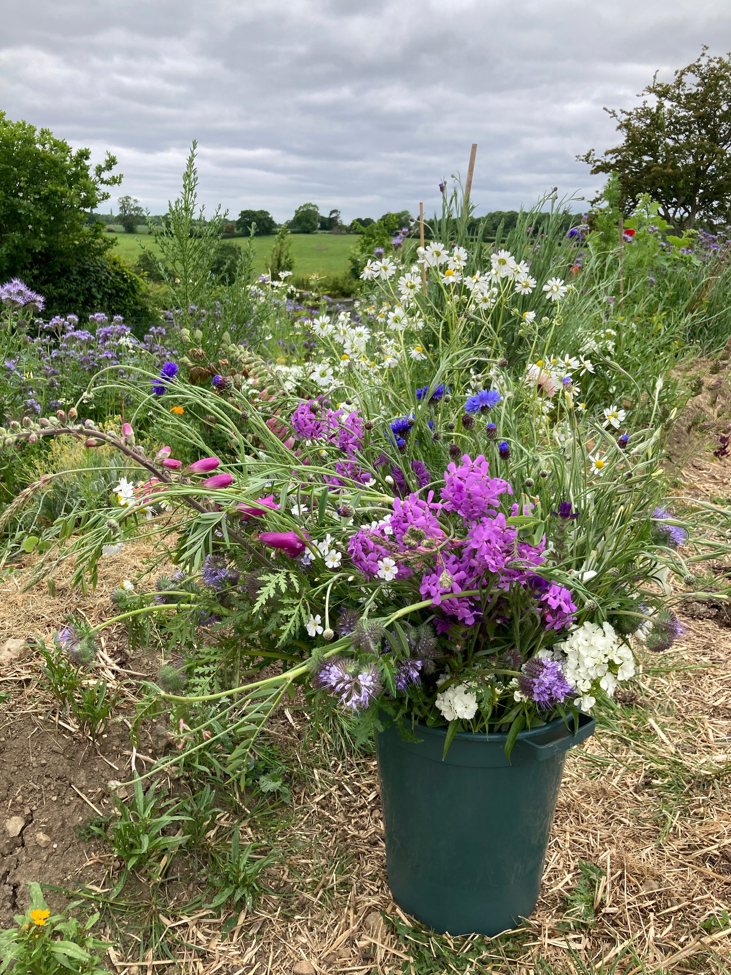 DIY arranger’s buckets