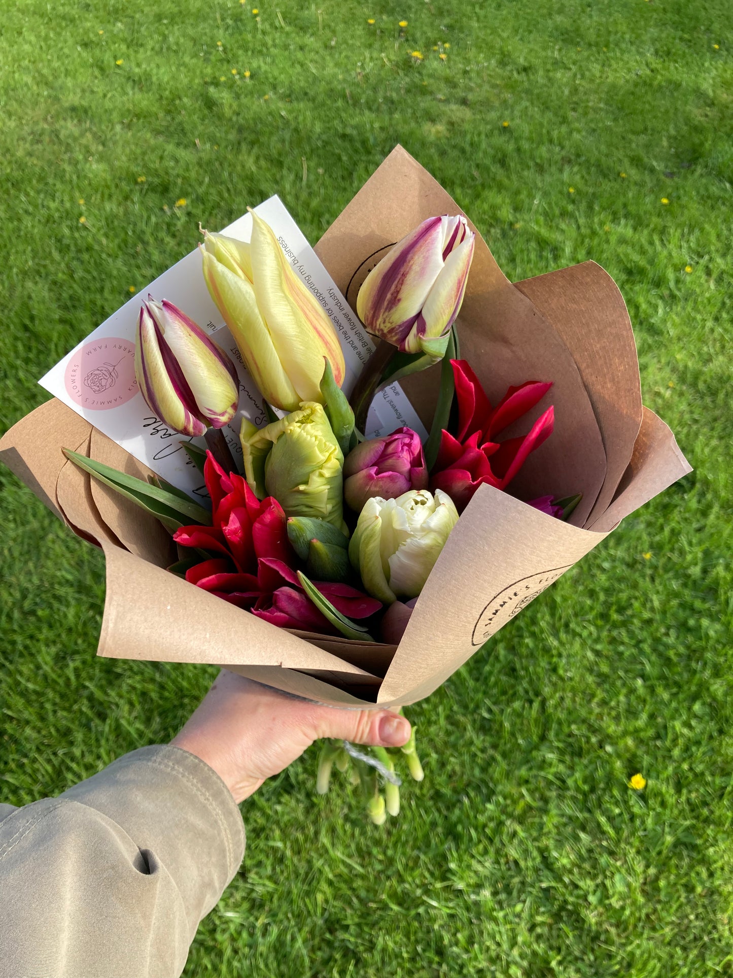 Tulip bunch