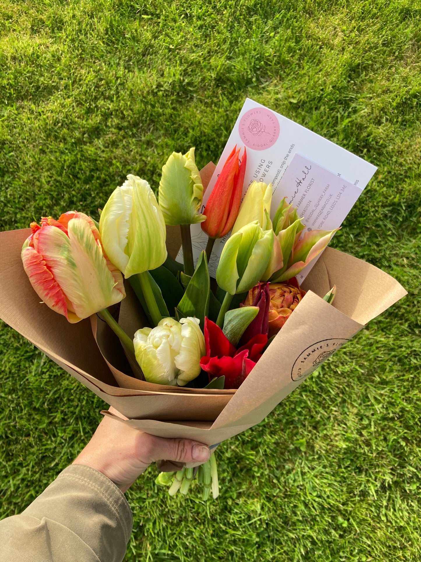 Tulip bunch