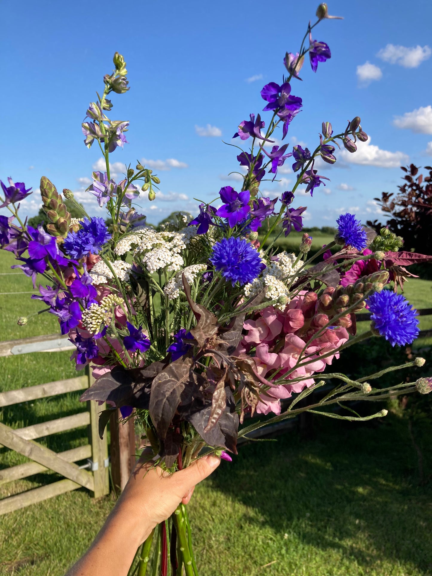 Fresh British flowers