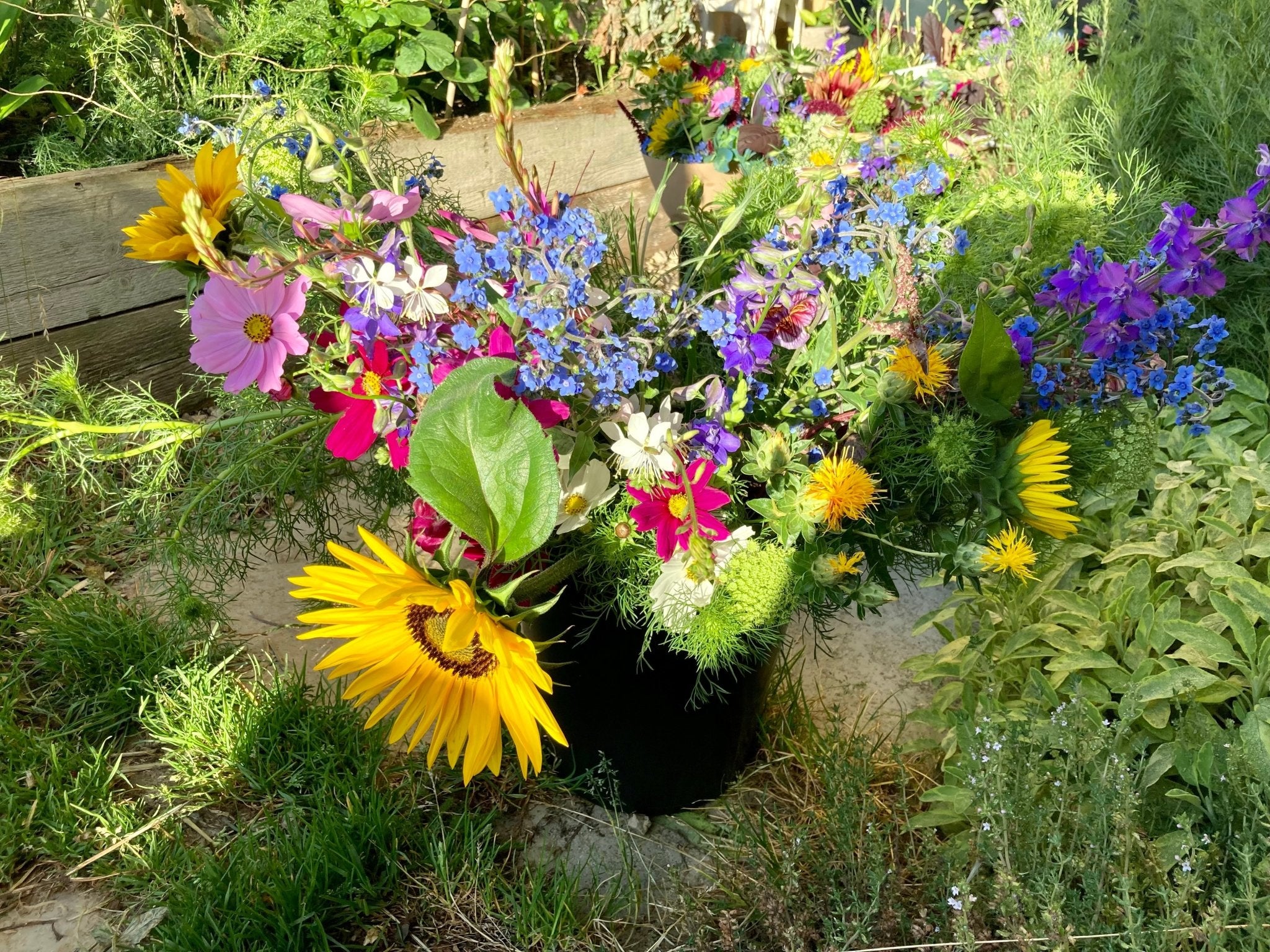 How to make the most of your cut-flower bounty!