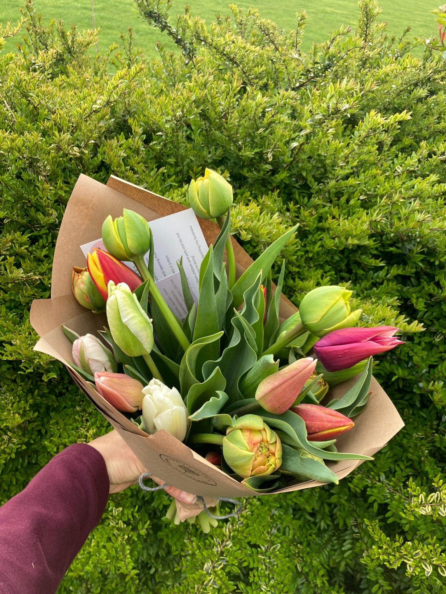 Tulip bunch - Kiddal Quarry Farm