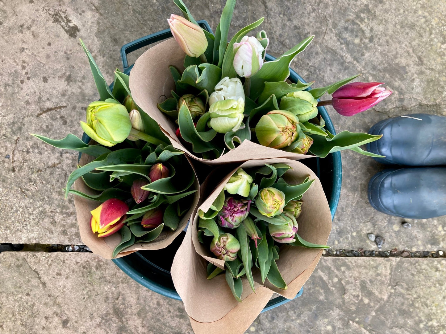 Tulip bunch - Kiddal Quarry Farm