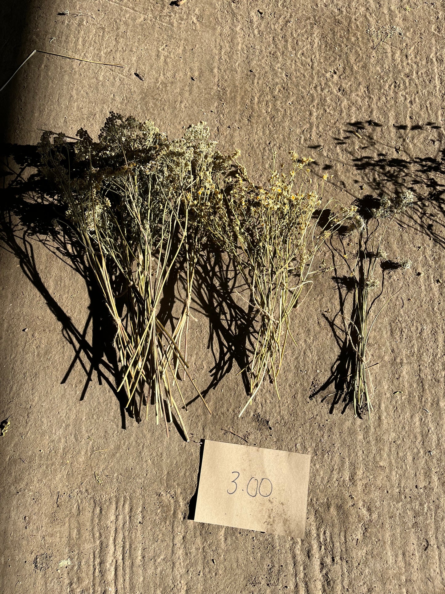 Wholesale dried flower box