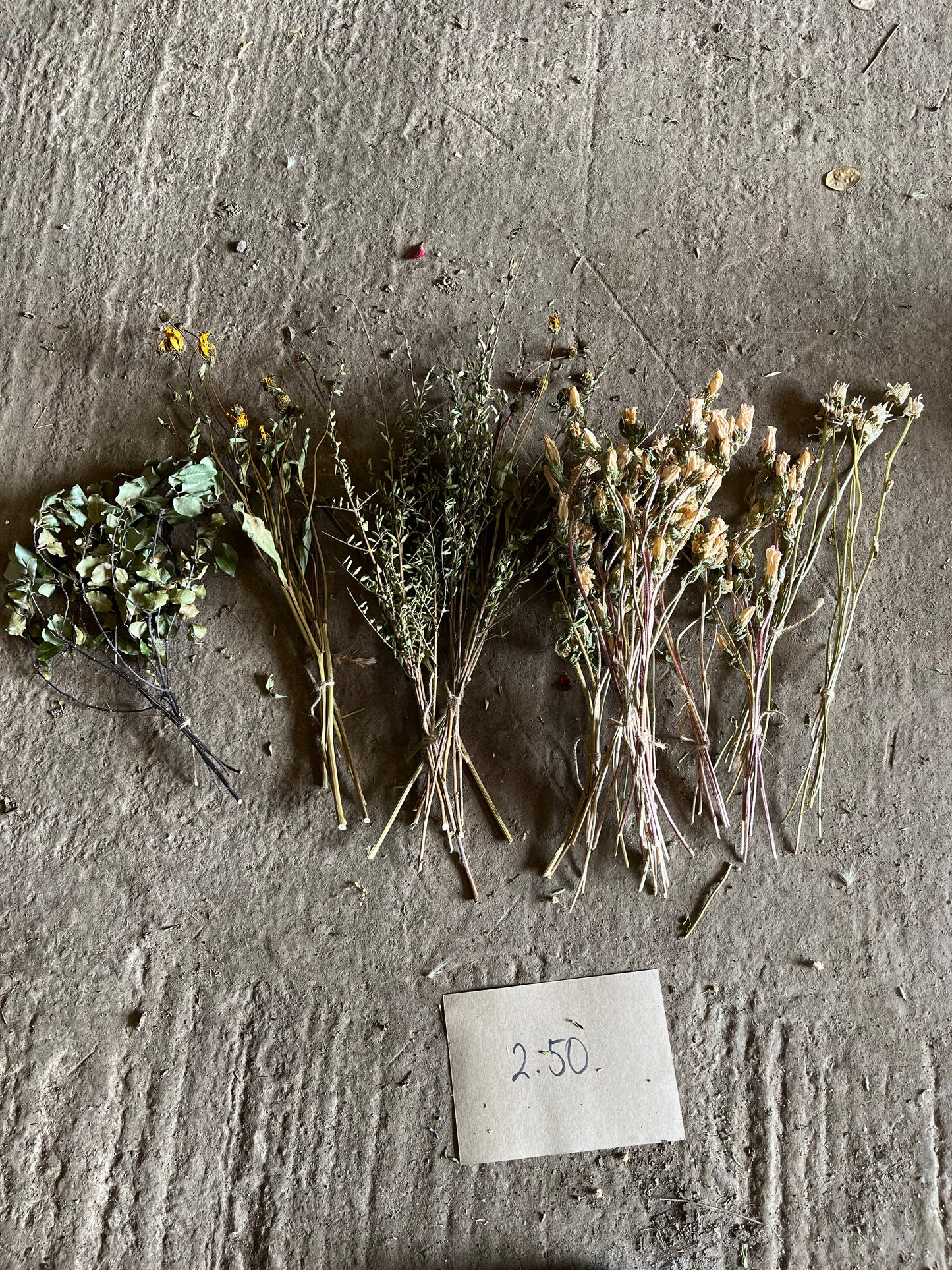 Wholesale dried flower box