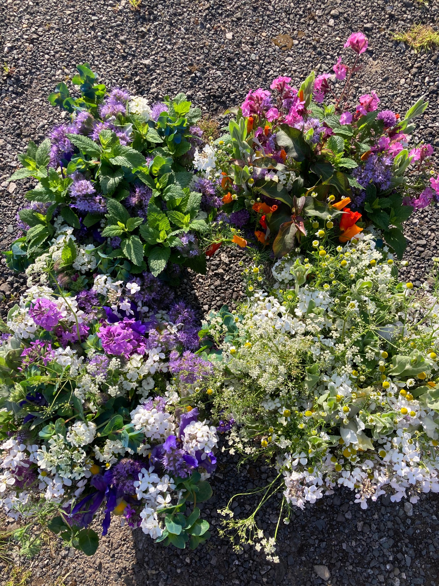 Fresh British flowers